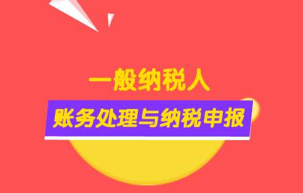 一般纳税人